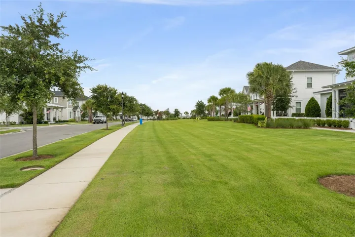 Neighborhood Green Space Across street