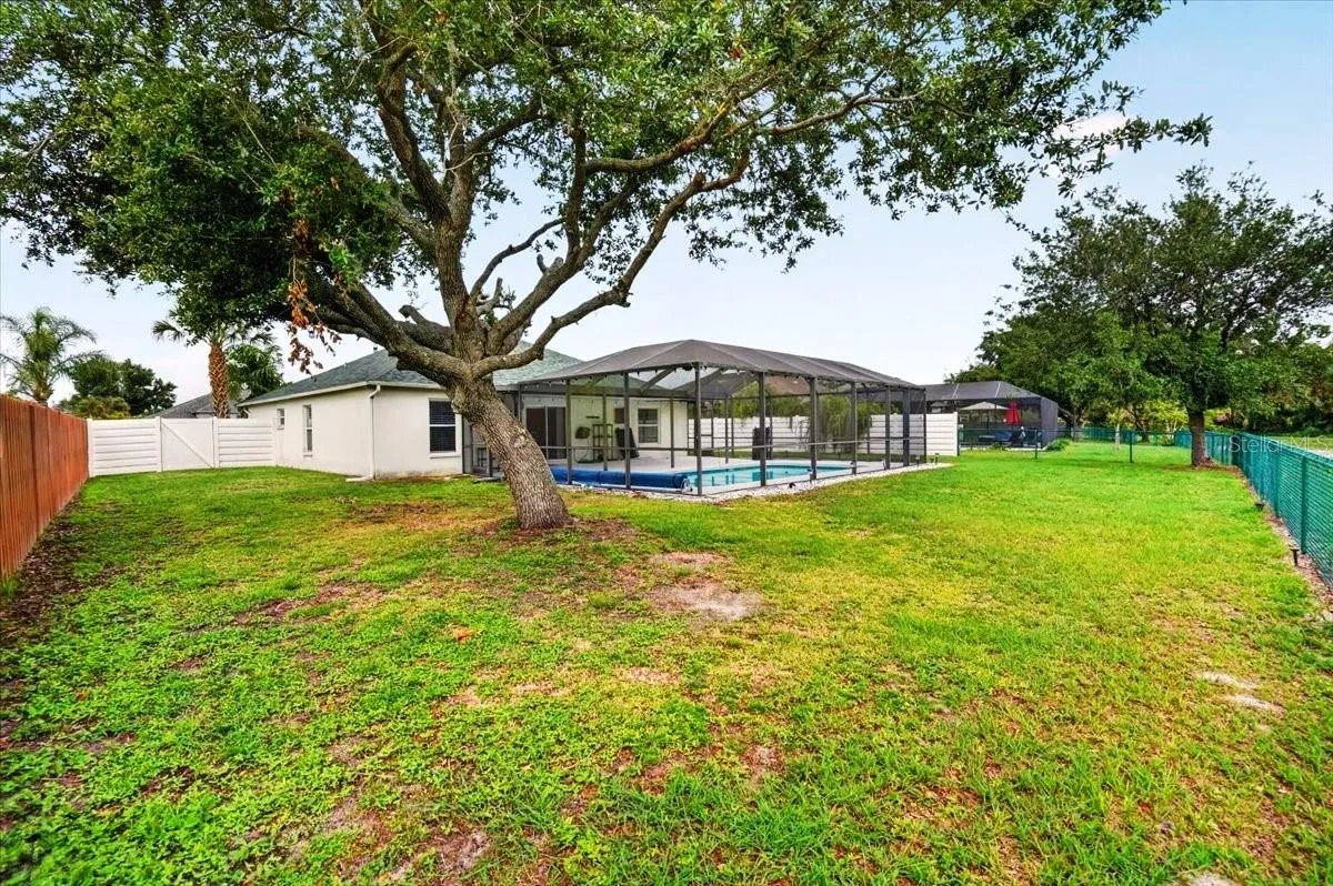 BACK YARD