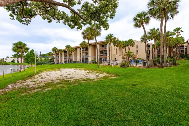 Pool and Volleyball Court