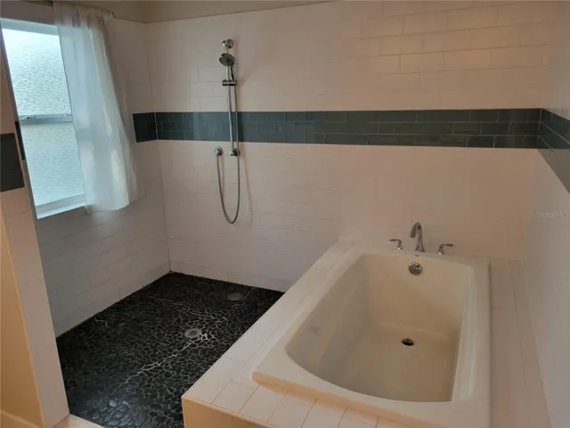 Primary bath tub and shower