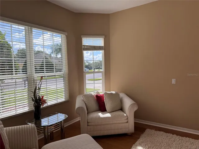 view from formal living