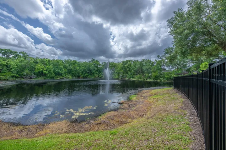 pond at entry