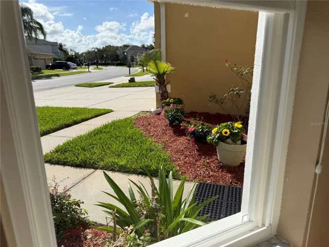 view from formal living room