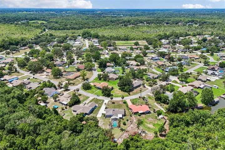 Wooded Views.