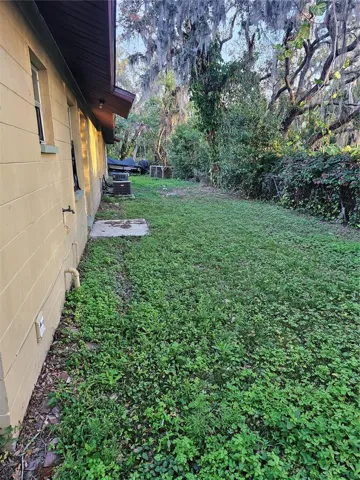 Back yard