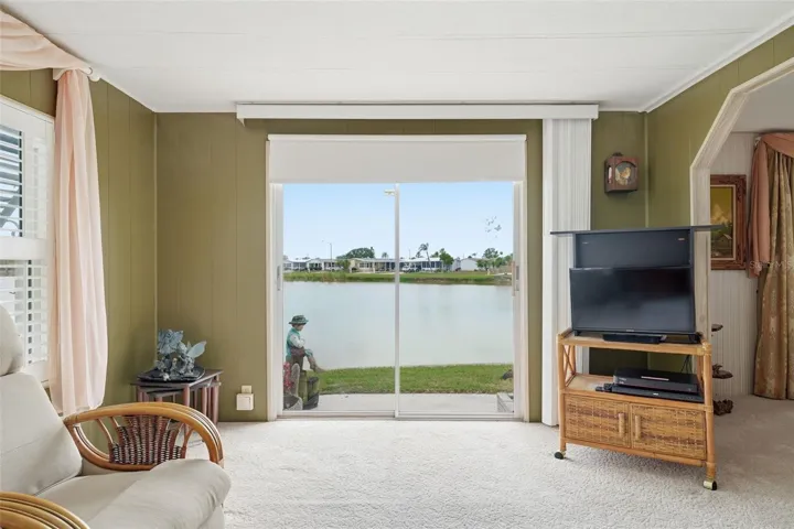 Media room lake views