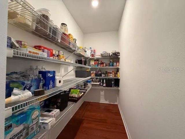 HUGE walkin pantry