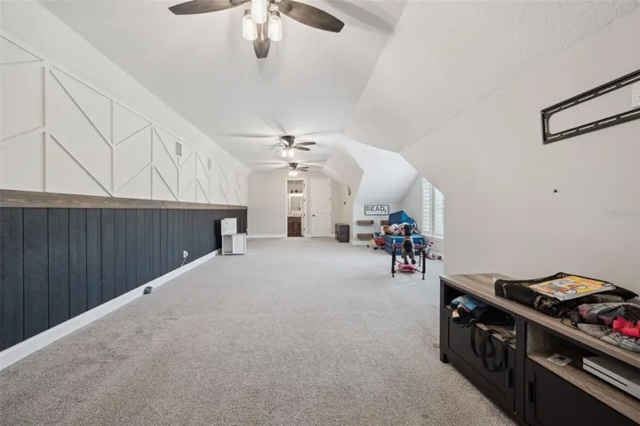 A second living area? A theater? A kid's play room?
