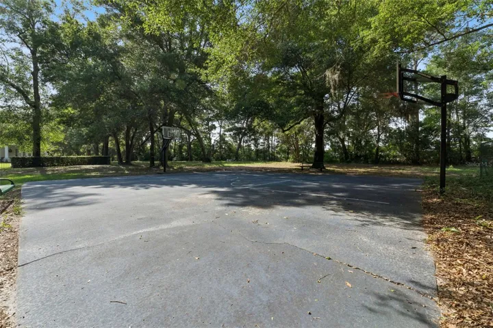 Basketball court