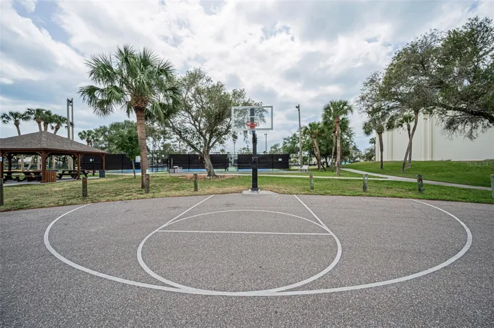 Basketball Court
