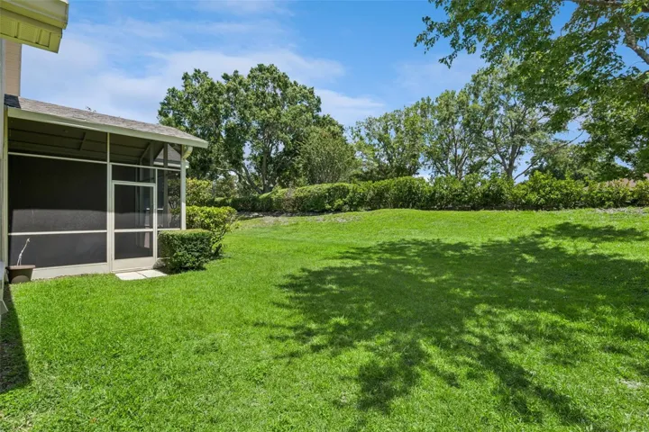 Back yard