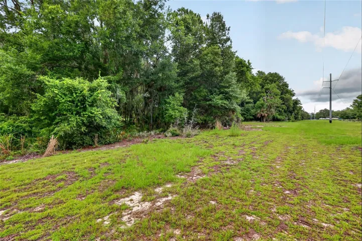 nice grazing area for livestock