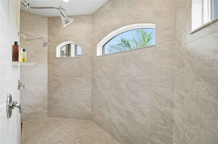 Primary Shower