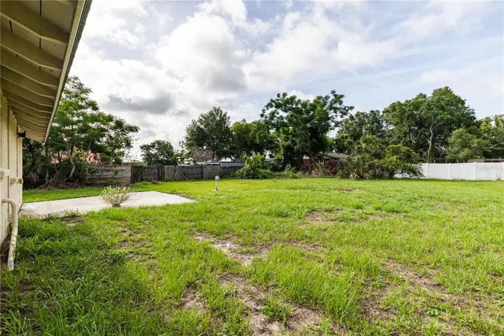 Back yard, double lot