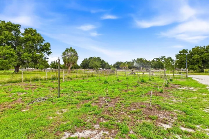 Irrigation for fruit trees
