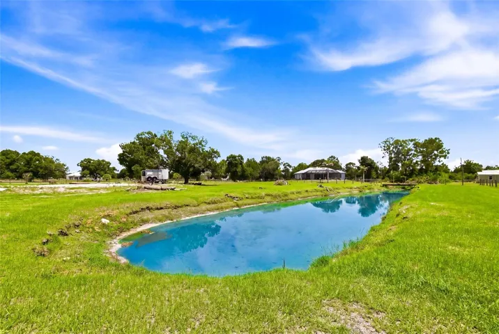 Pond