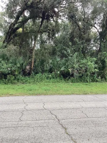 Wooded Lot With Paved Road Frontage