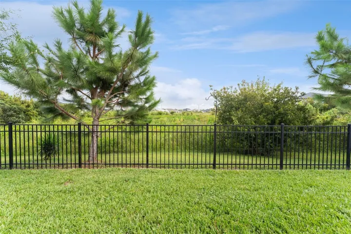 Fenced Back Yard