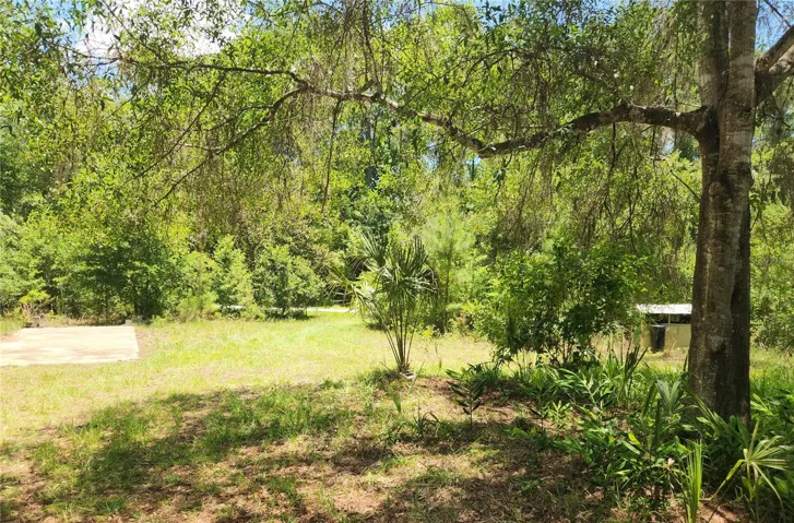 View of front yard