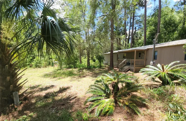 View of front yard