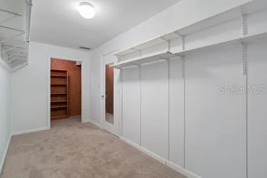 primary cedar closet