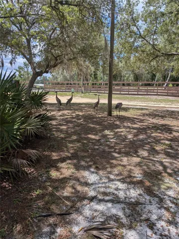 YARD VIEW