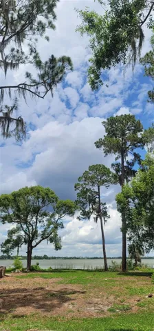 Beautiful mature trees providing natural shade and a tranquil environment.