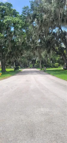 Calm, breezy street that feels private and surrounded by nature.
