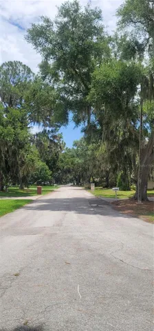 Tree-lined entrance offering a refreshing and natural welcome to the property.