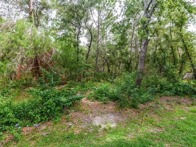 View to rear yard