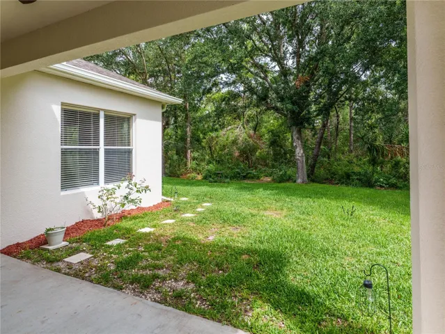 view of rear yard