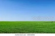 Cleared lot