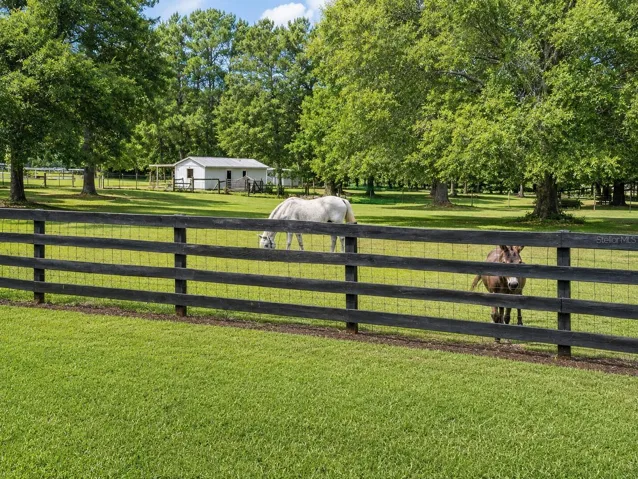 Pasture