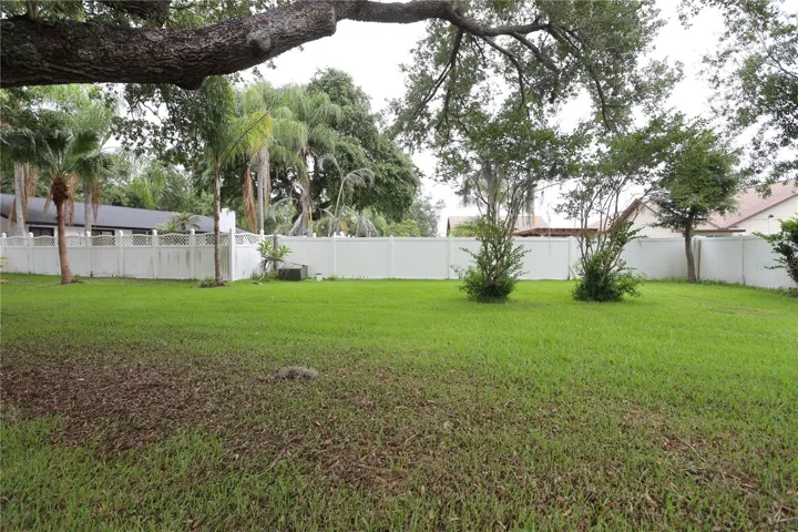 back yard
