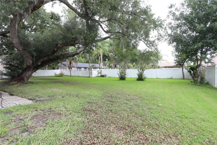 back yard