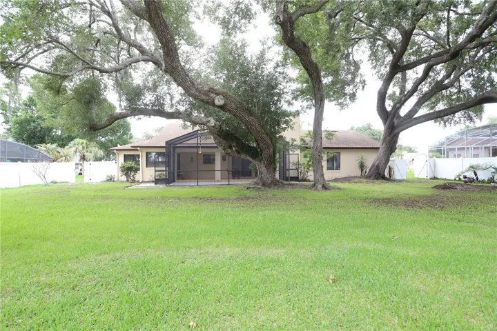 spacious back yard
