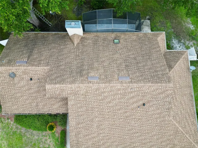 roof  view