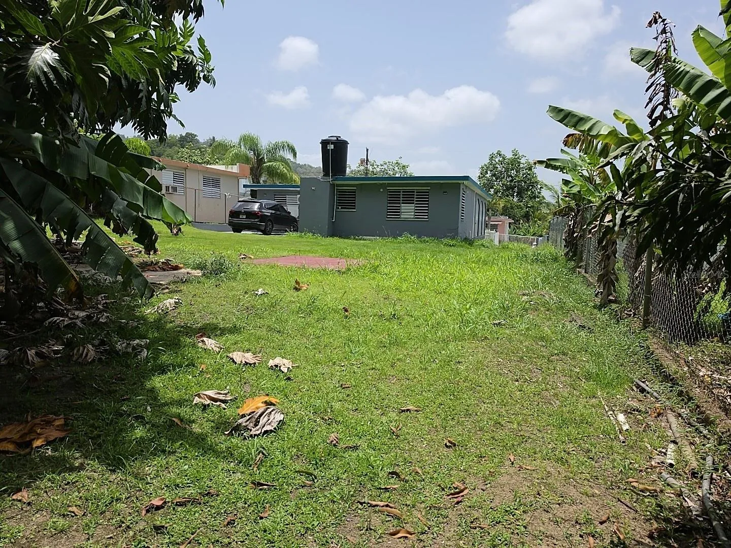 Backyard