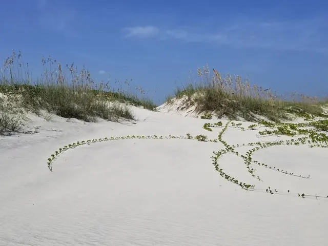 1170