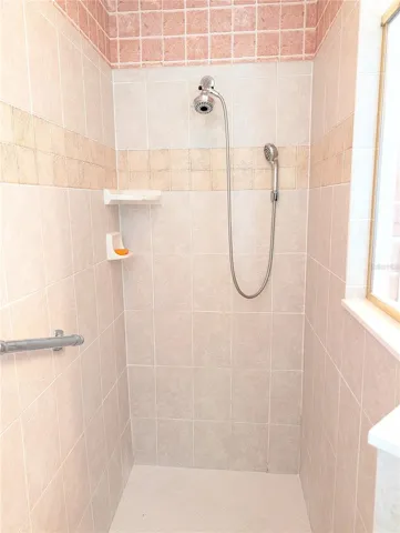 Primary Walk-in shower