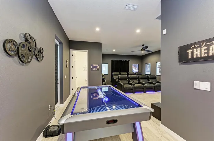 Movie room/game room