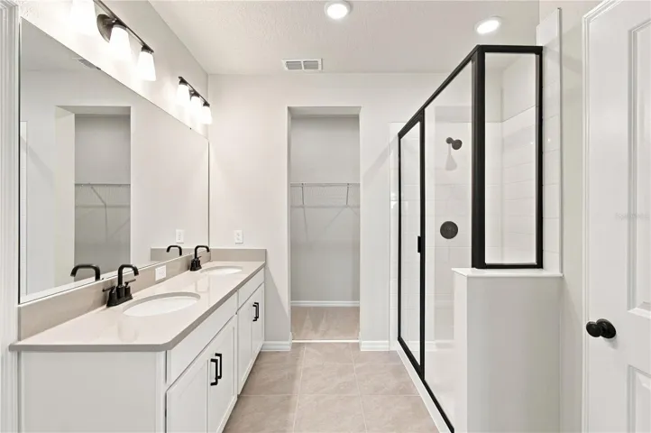 Owner's Bath