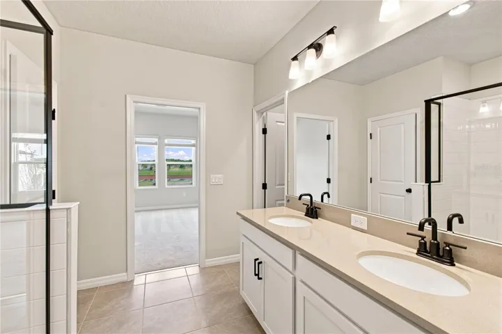 Owner's Bath