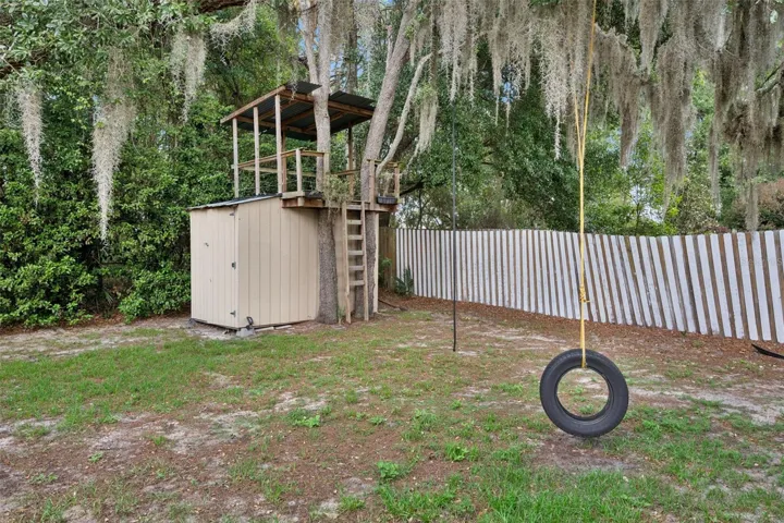 Treehouse and tire swing in Backyard