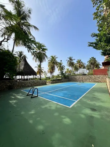 Tennis/Basketball Court