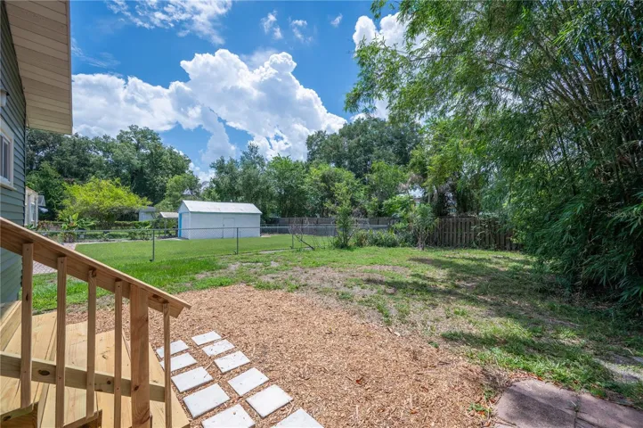 Backyard