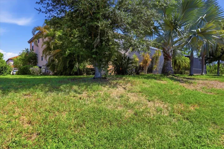 Yard