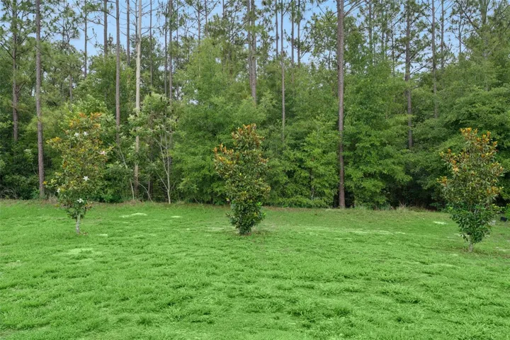 Conservation Views