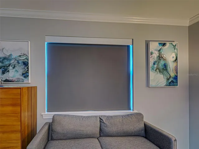 Custom Lutron remote control shade
