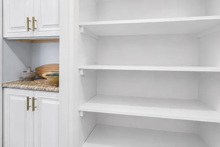 Butler Pantry and Kitchen Pantry